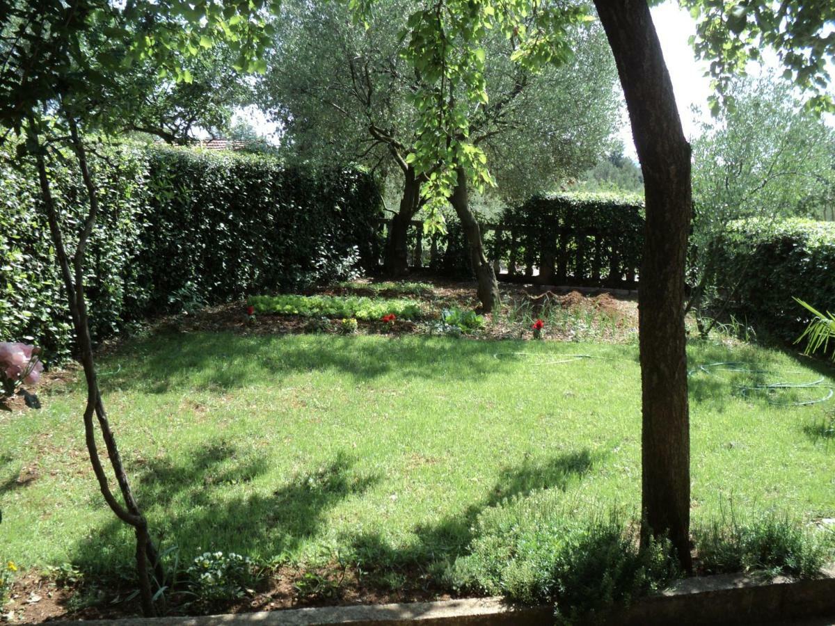 Apartment Martina Biograd Na Moru Exterior photo