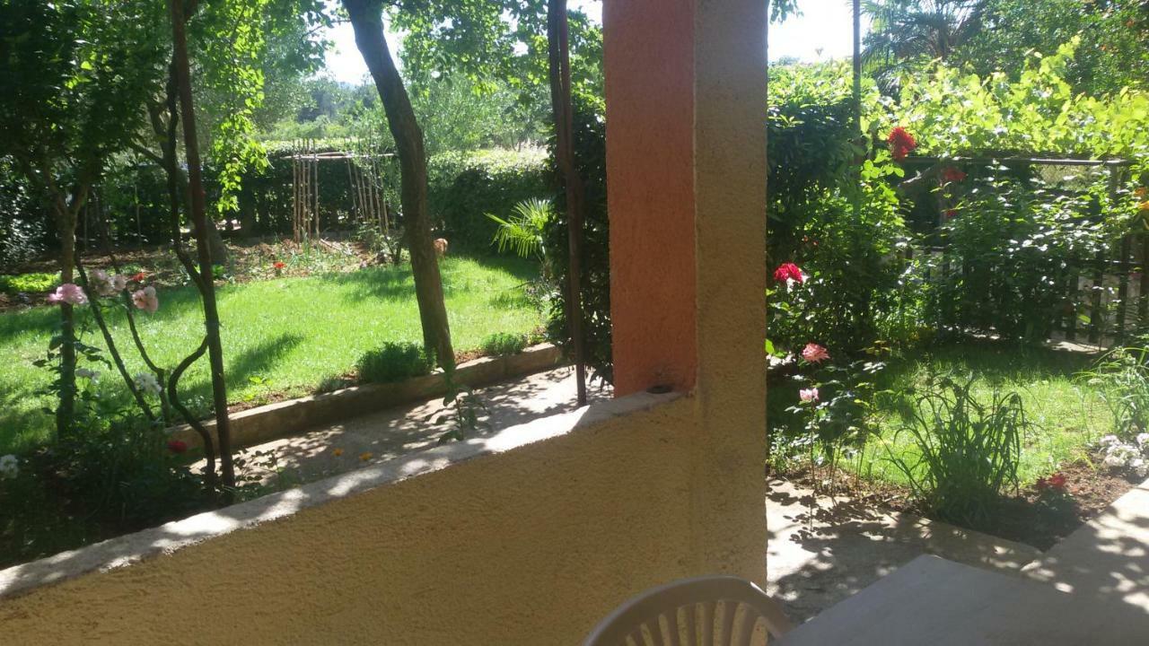Apartment Martina Biograd Na Moru Exterior photo
